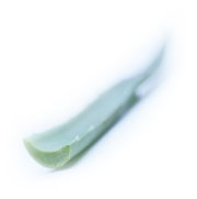 aloe vera leaf