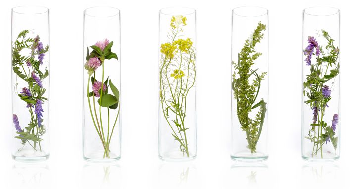 Special skin and body care ingredients and their uses explained by Nancy K Brown 